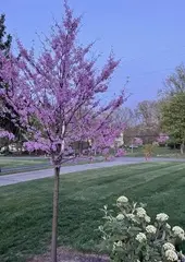 Award Services LLC. Your Go-To and Trusted Commercial Landscape Maintenance services. Serving the Lehigh Valley, Bucks, and Montgomery counties.