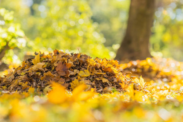 Fall Clean-Up Checklist for Pennsylvania Homeowners