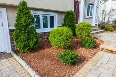 Award Services LLC located in the heart of Coopersburg, PA, Lehigh Valley. Providing residential tree and shrub planting services.